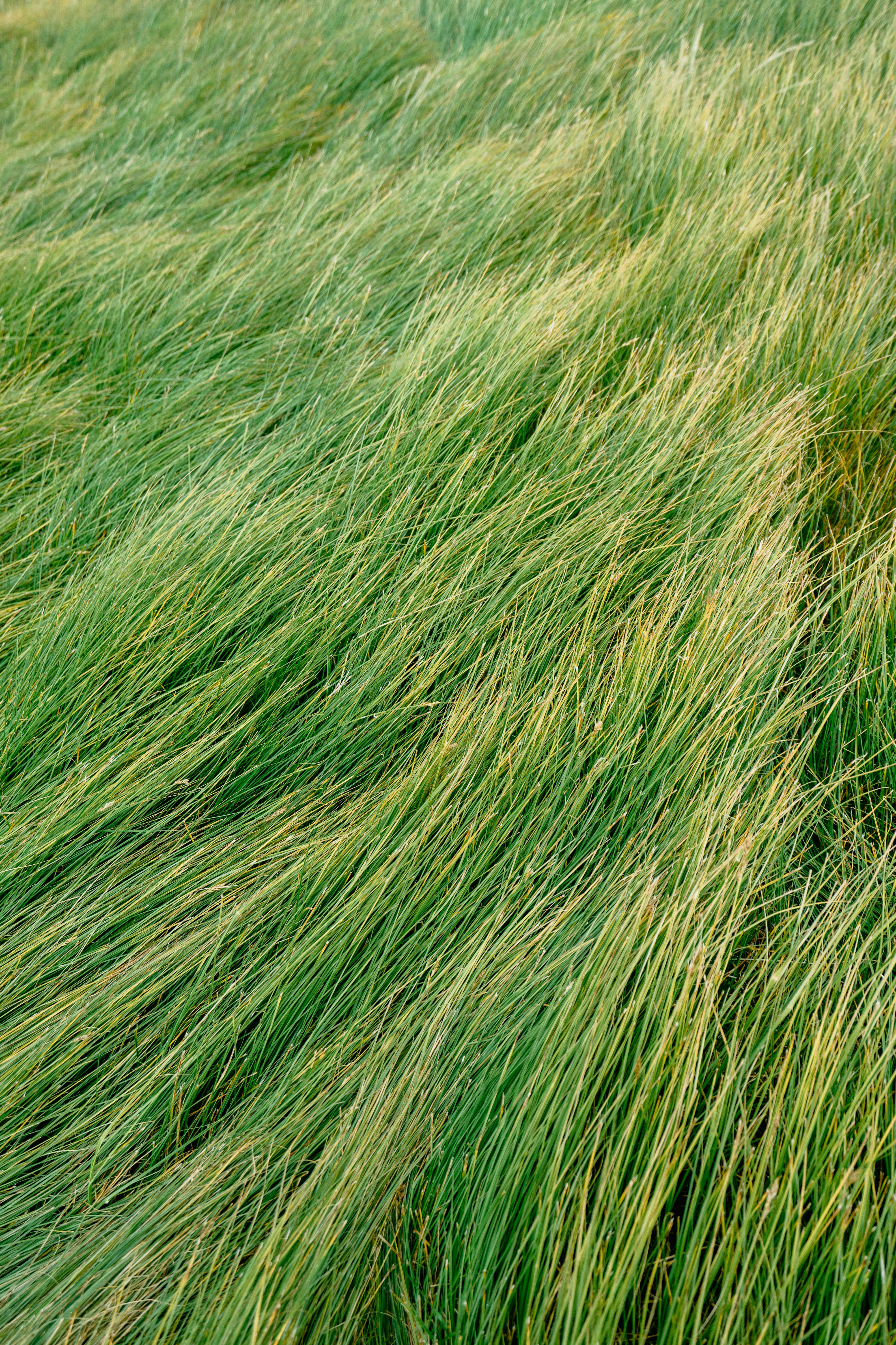 The Bigger Machines:Lawn Power Equipment Worth Buying
