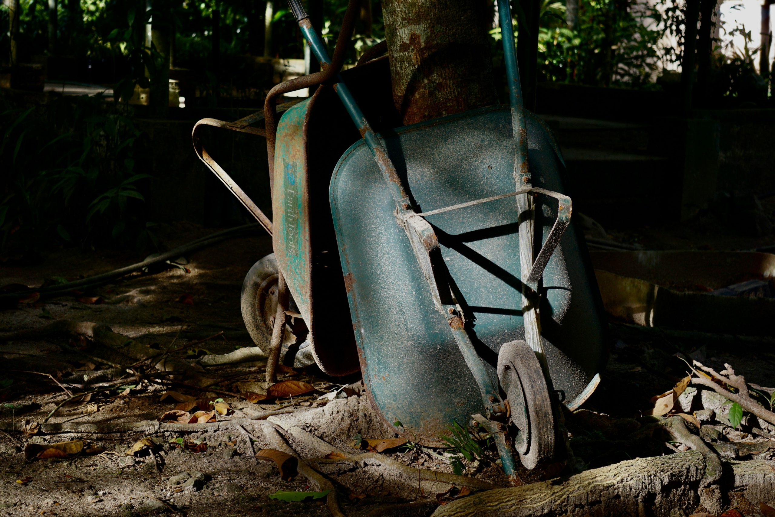 Cordless electric leaf blower in garden