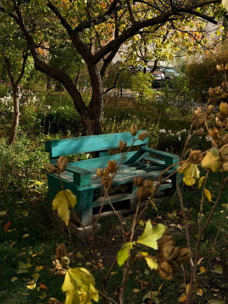 5 Backyard Rituals to Help You Unplug After a Long Week