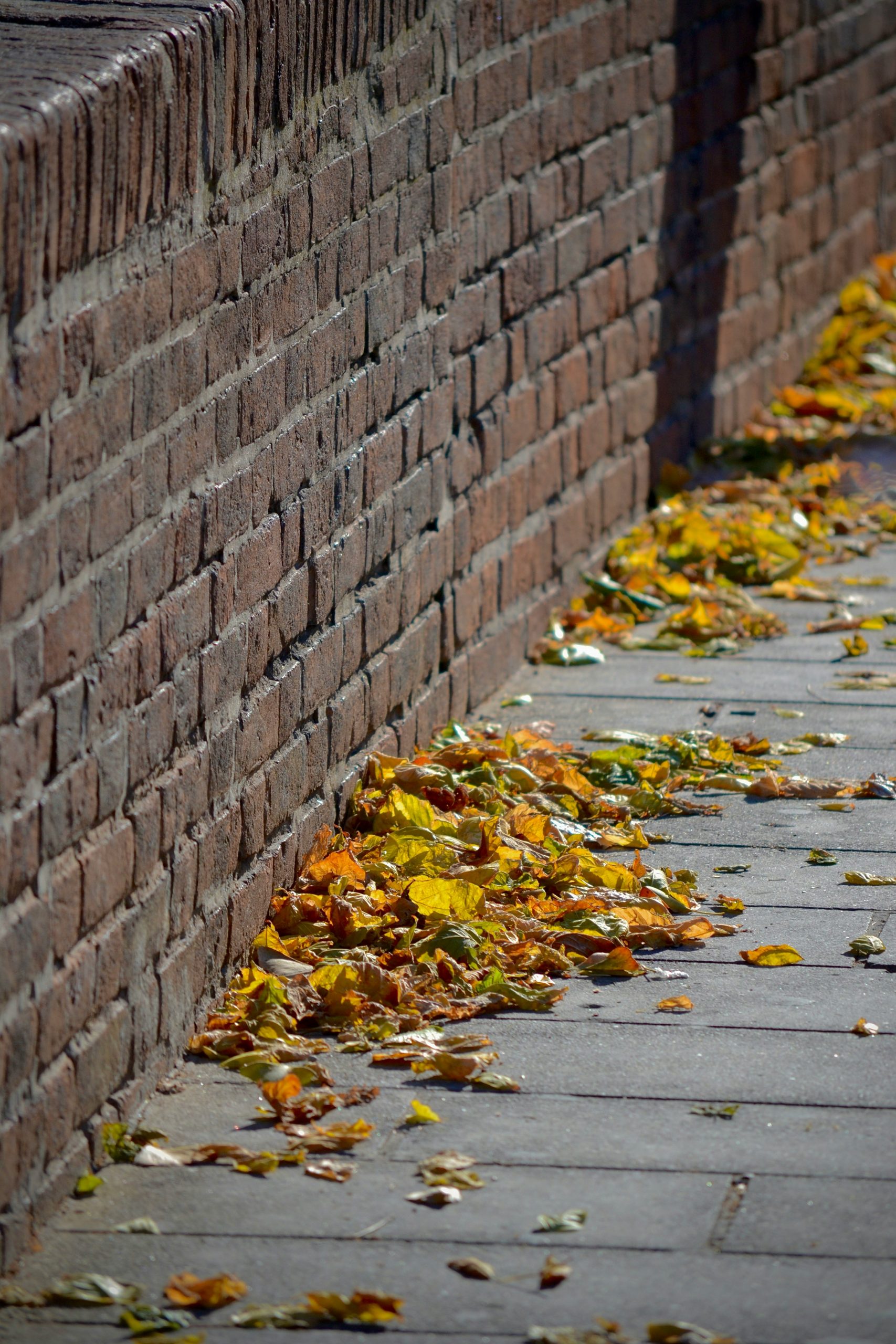Italian cobblestones — beautiful and brutal on bad footwear