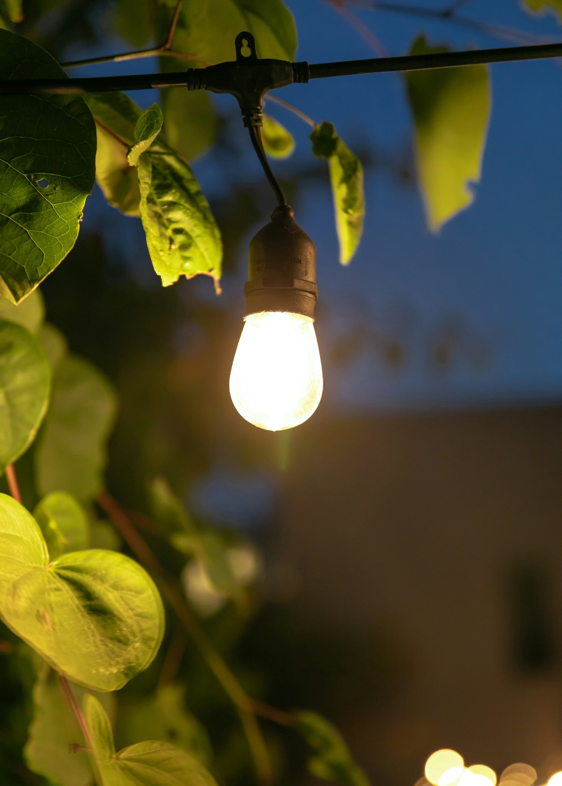Warm white solar string lights draped over a pergola at dusk