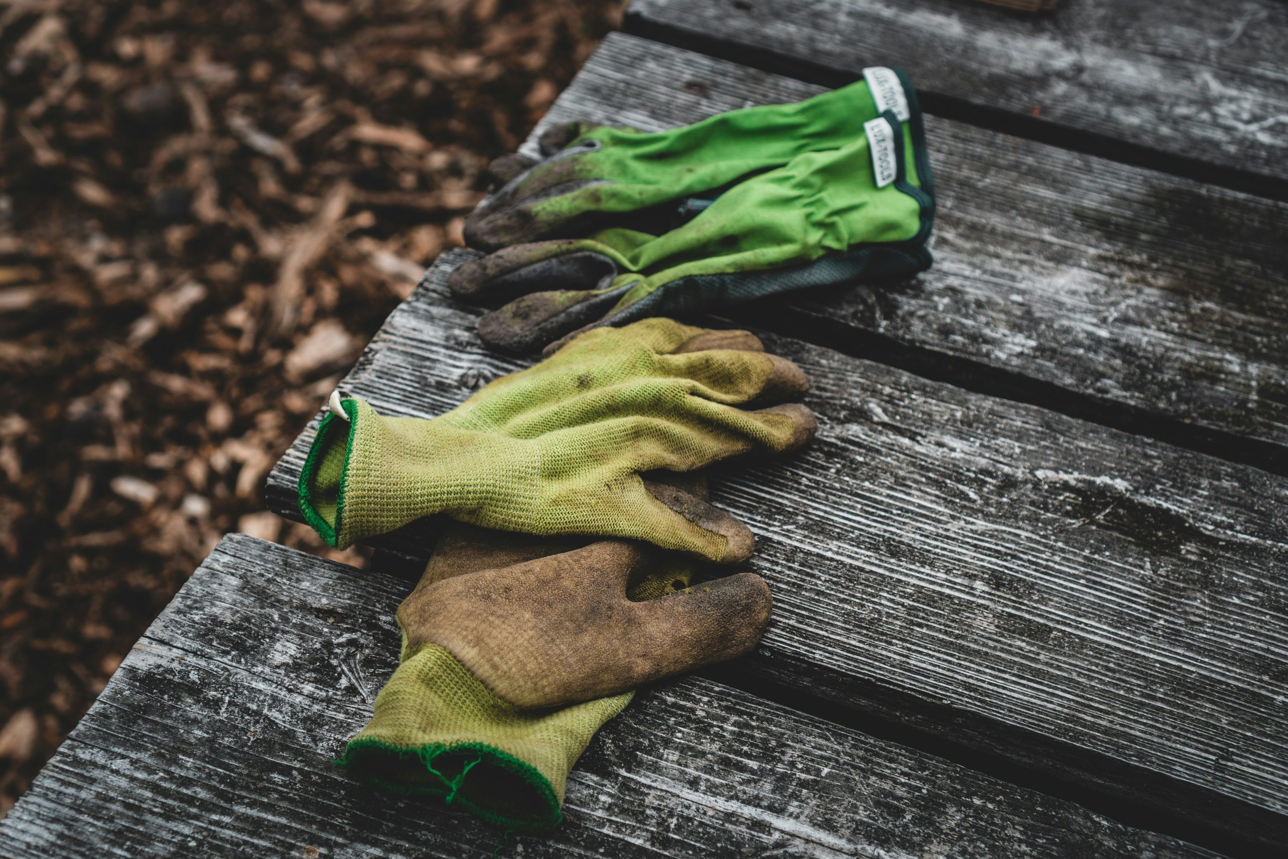 Garden gloves for thorns and pruning