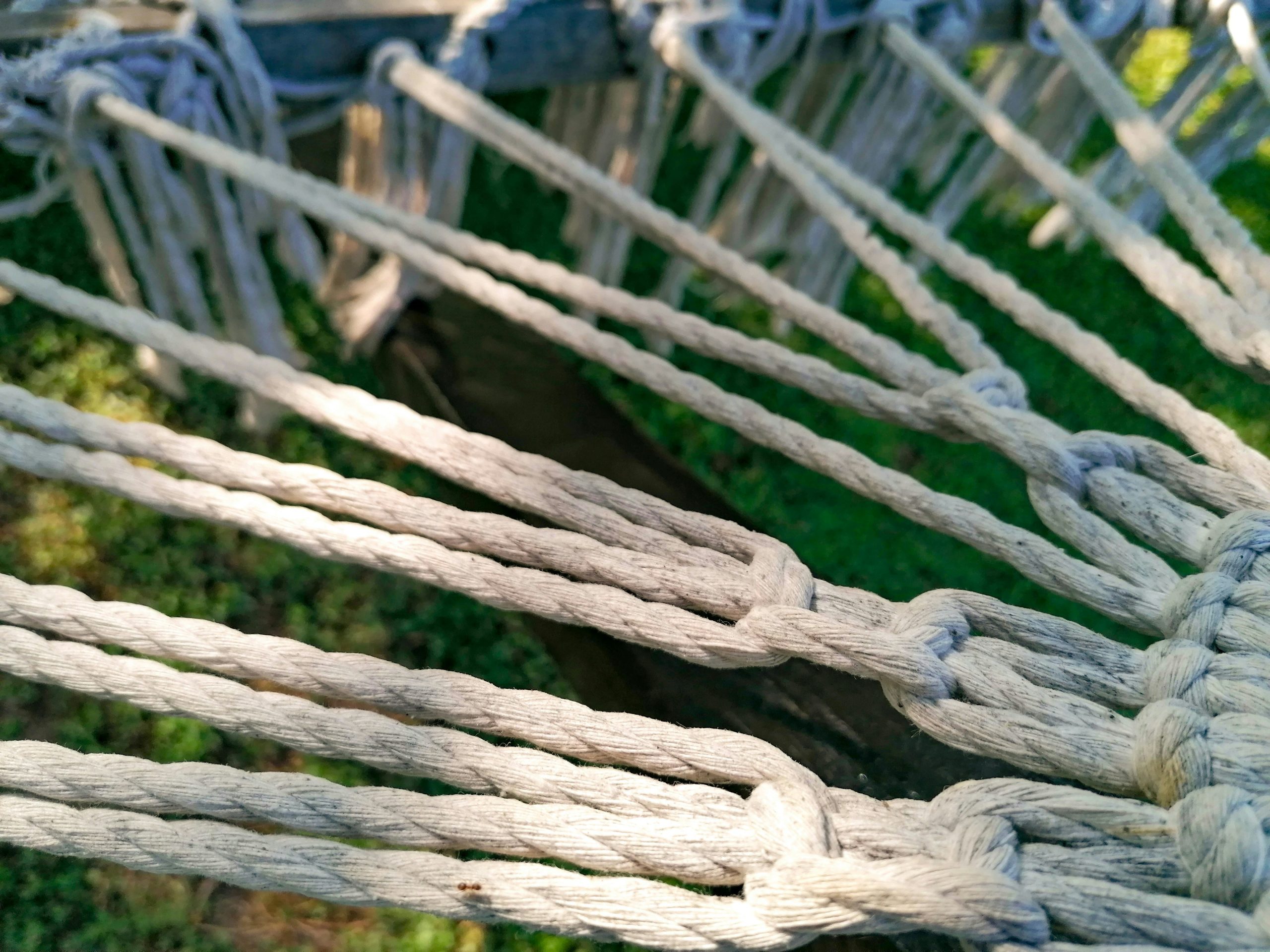 Rest and recovery for gardeners — summer self-care
