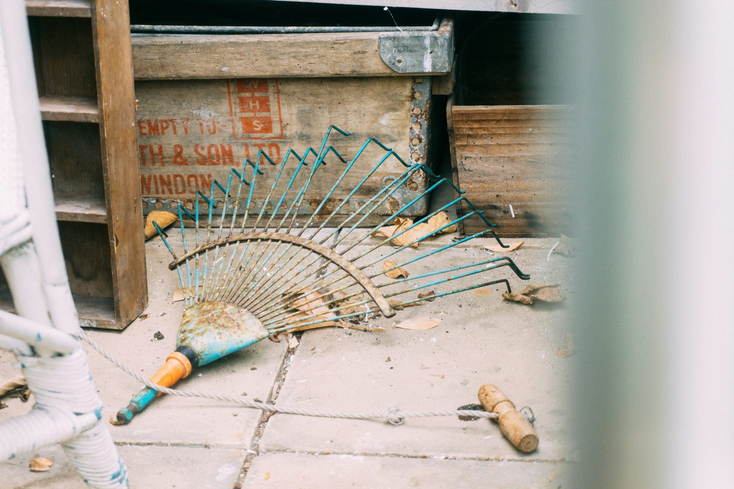 Garden rake on autumn leaves