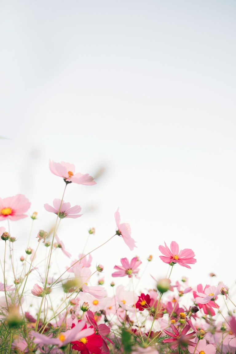 The Art of Seasonal Living: How to Sync Your Routines with Your Garden
