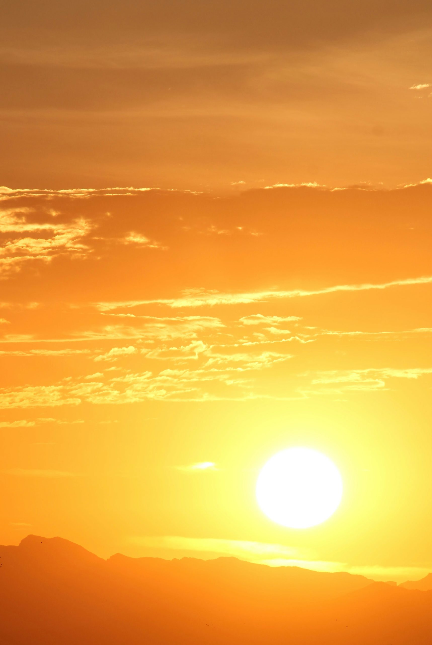Sun essentials for slow living summer