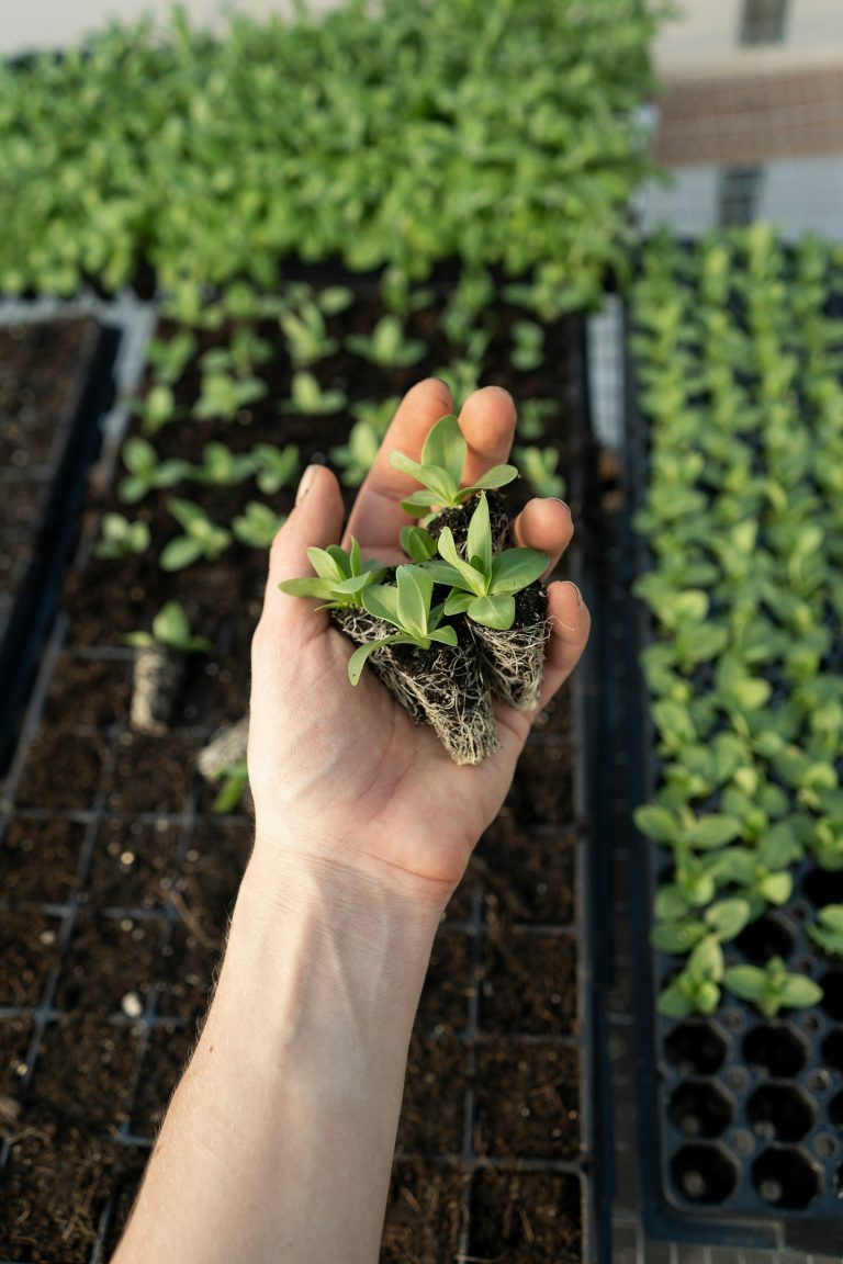 Dirt under my nails